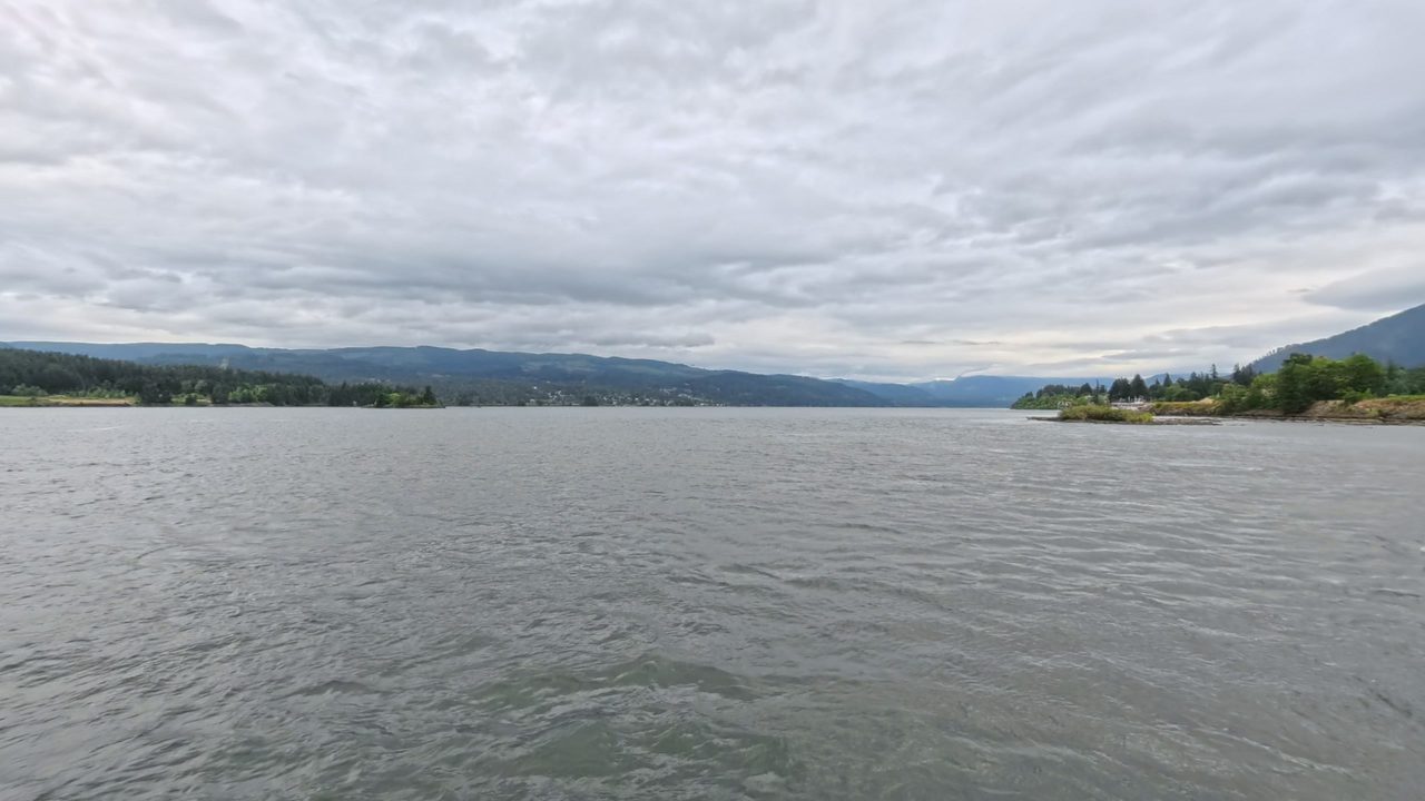 The Columbia River under a mottled grey sky, between forested hills and a wooded point on the right, 2025