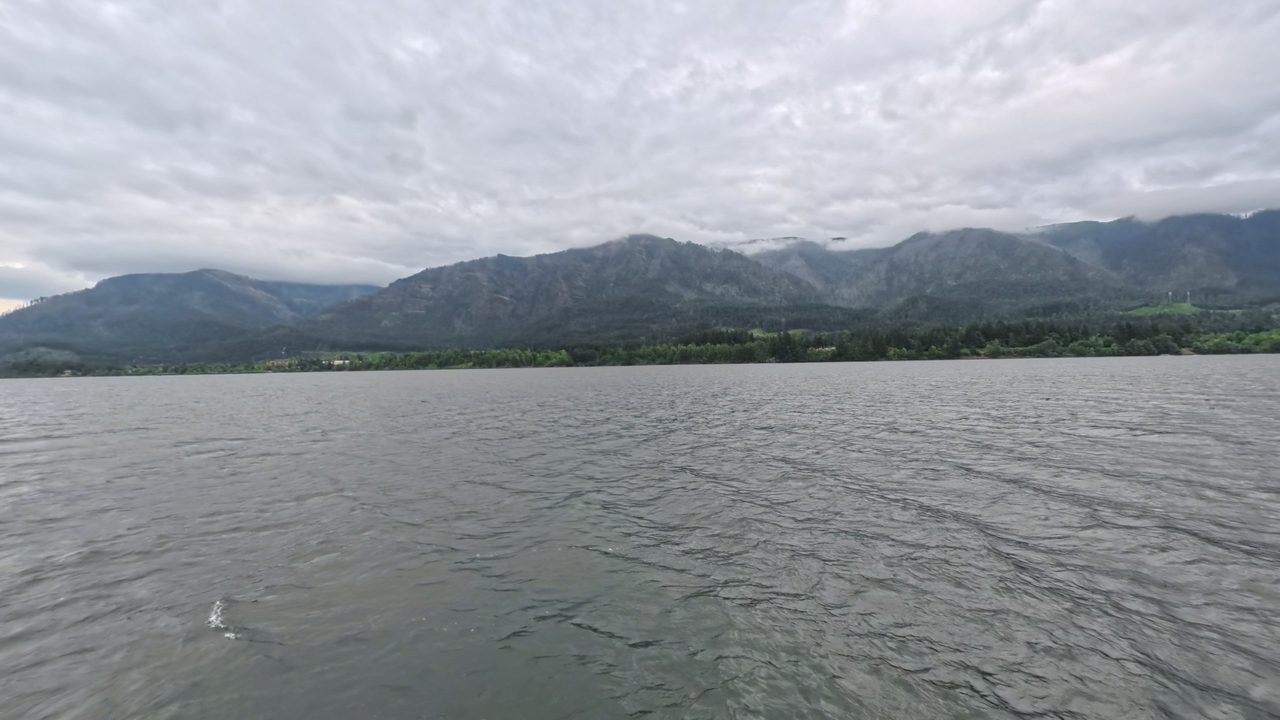 Forested mountains under low gray cloud above the wide Columbia River, 2025