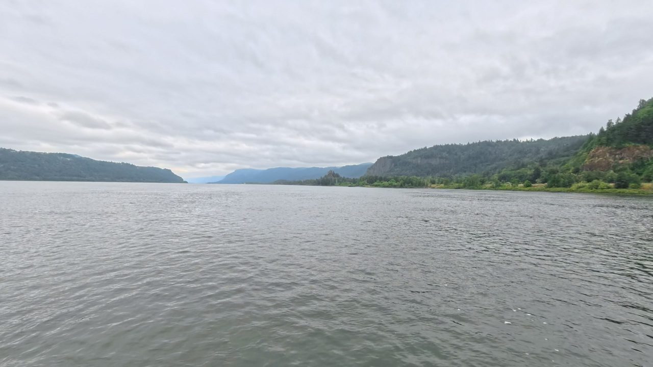 The Columbia River between forested slopes and distant ridges, under a cloudy sky, 2025