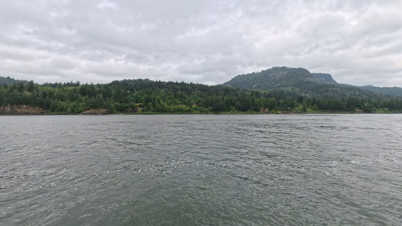 The Columbia River below a forested shore and a flat-topped headland under a gray sky, 2025