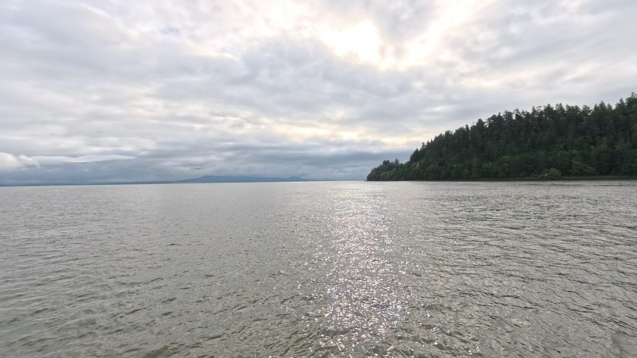 The Columbia River glinting under a cloudy sky, with a forested island on the right, 2025
