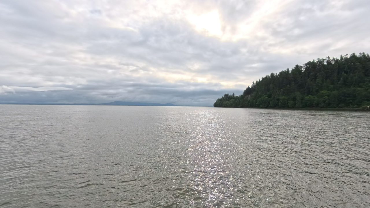 The wide Columbia River glinting under a cloudy sky, with a forested hill on the right, 2025