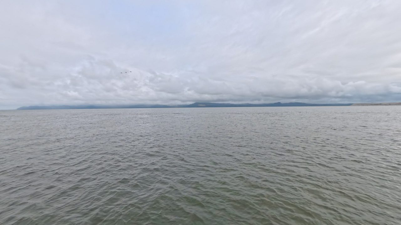 The wide Columbia River under a low, gray sky, with forested hills along the far shore, 2025