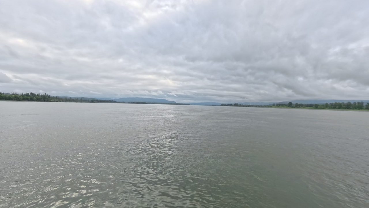The broad Columbia River under a grey, cloudy sky, with a low wooded shore in the distance, 2025