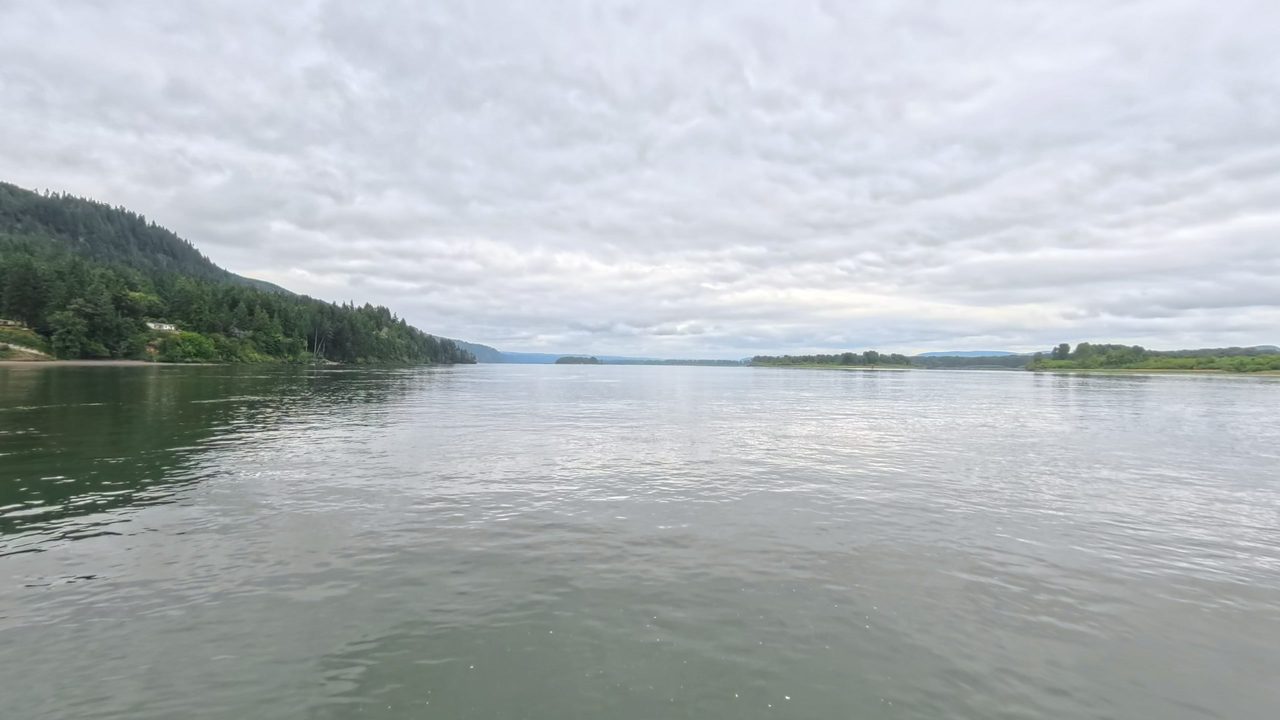 The calm Columbia River below a forested hillside with a few houses on the left, under a cloudy sky, 2025