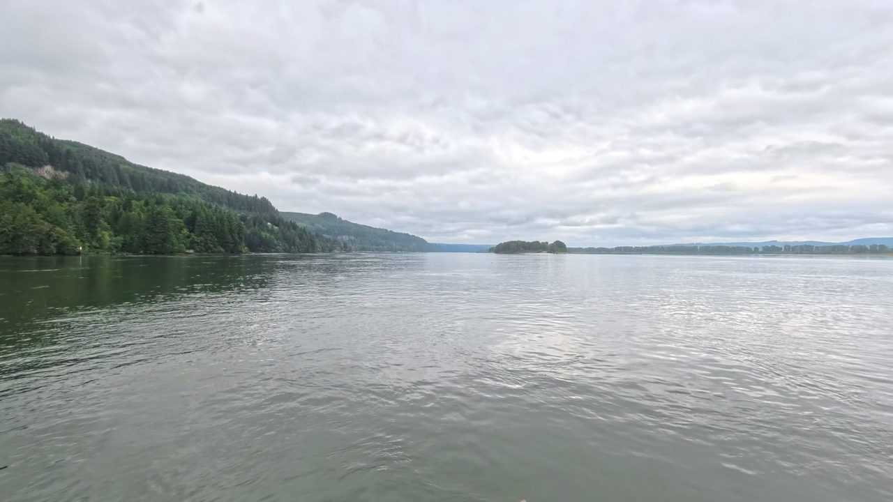 The calm Columbia River below a forested hillside on the left, with a small wooded island, under a cloudy sky, 2025