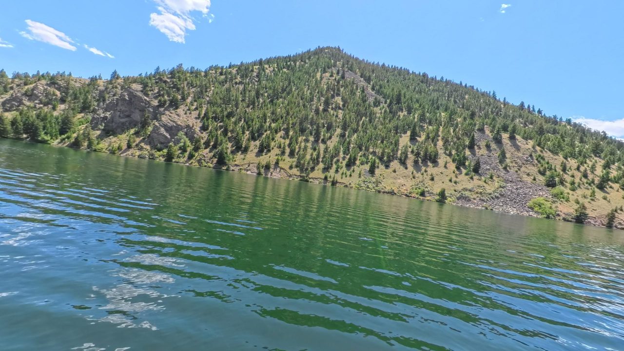 A steep slope of pines and a rock slide above the green water of Canyon Ferry Lake, 2025
