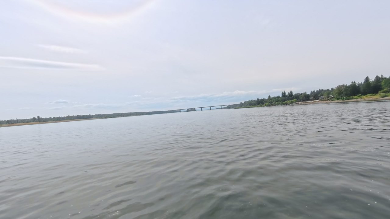 The wide Columbia River under a pale sky, with a long bridge and a wooded shore on the right, 2025