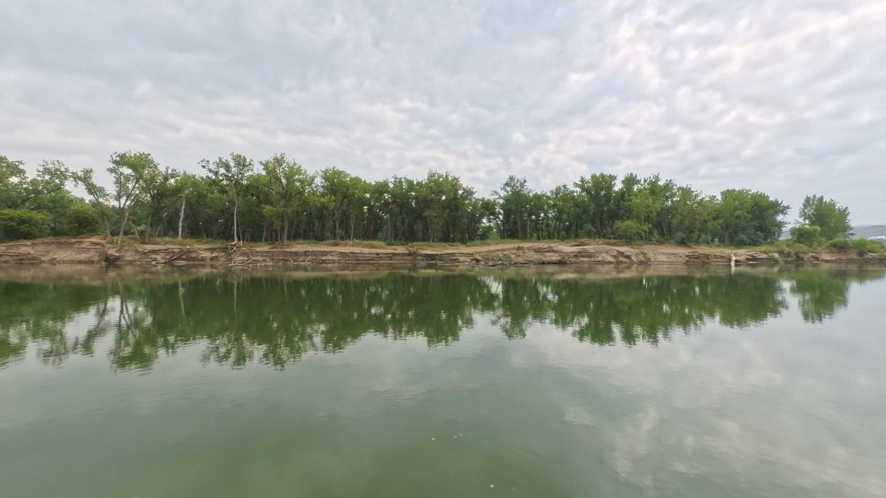 A crumbling sandy bank below a cottonwood grove, reflected in the calm Missouri River, 2025