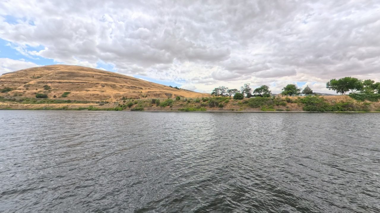 A dry, grassy hillside and leafy trees above the Snake River, with houses glimpsed behind the bank, 2025