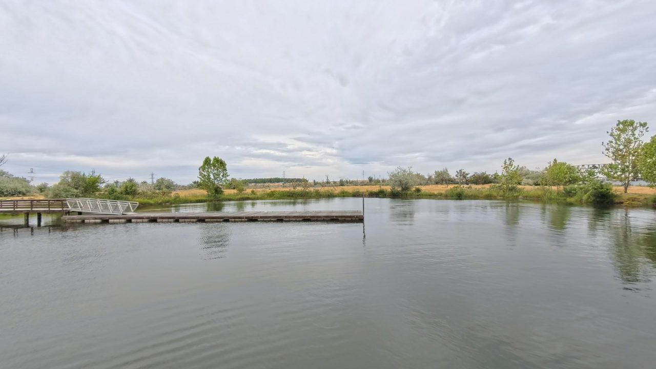 A wooden dock and ramp on calm water, with dry grass and leafy trees along the shore, 2025