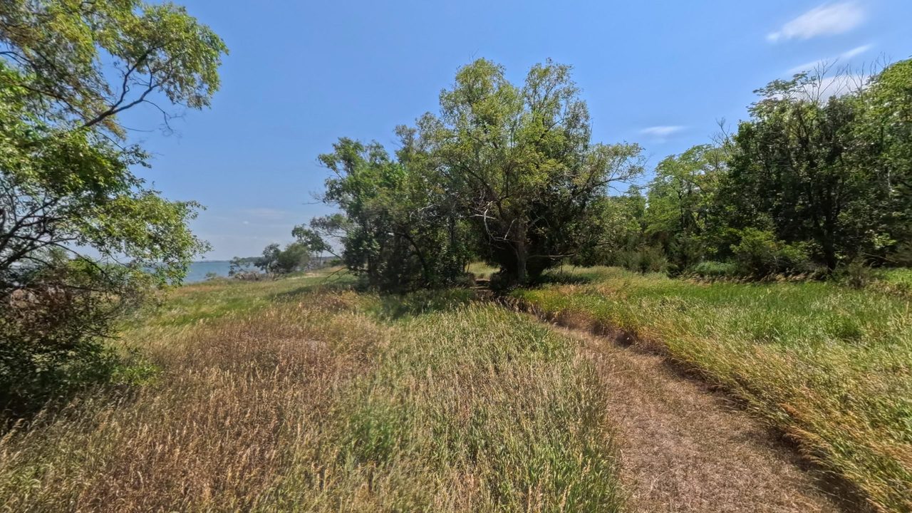 A grassy clearing among trees opening onto the blue water of the Missouri River, 2025
