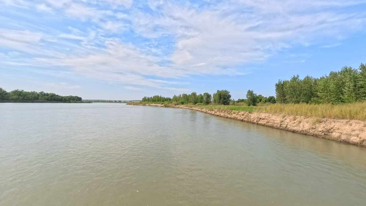The Missouri River beside a sandy cut bank topped with grass and trees on the right, 2025