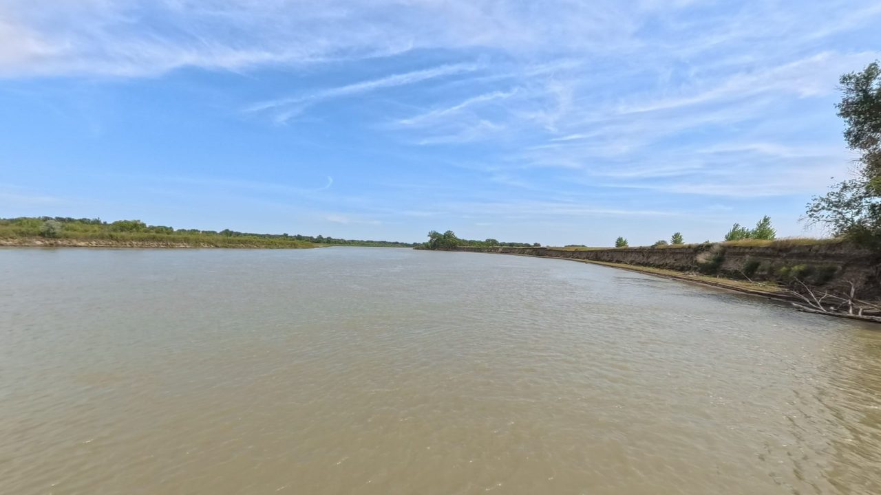 The Missouri River between low grassy banks, with an eroded bank and trees on the right, 2025