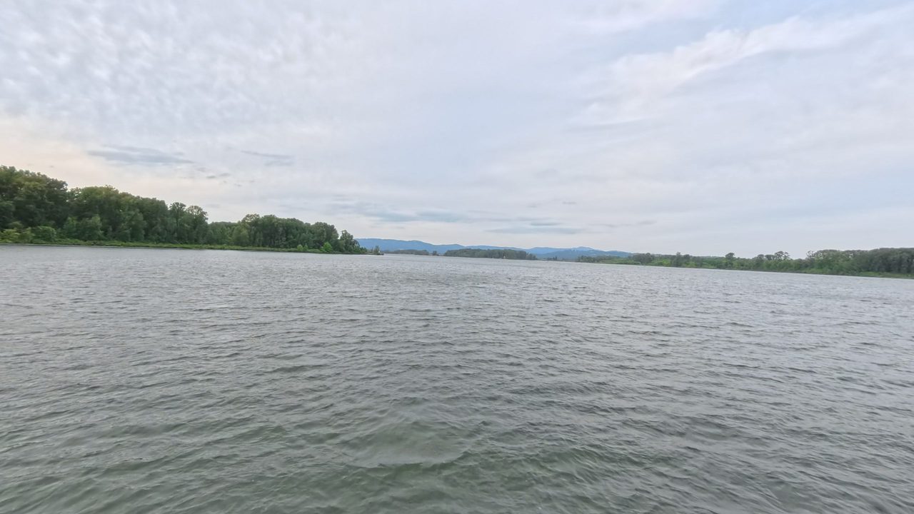 The wide Columbia River below a wooded shore on the left, under a pale, cloudy sky, 2025