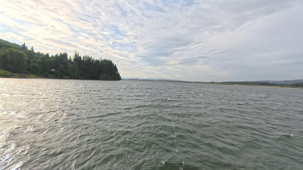 The Columbia River below a steep, forested point with a house among the trees on the left, under a pale sky, 2025
