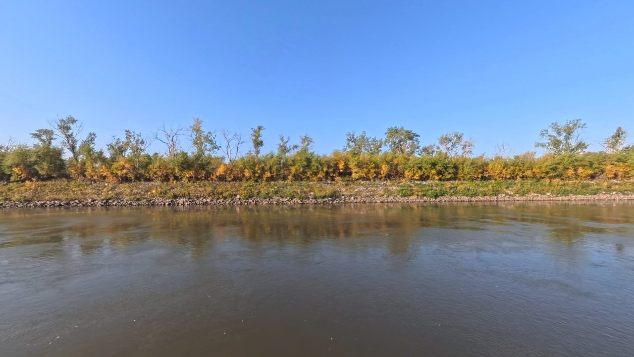 A rocky bank below shrubs turning gold along the Missouri River, under a clear blue sky, 2025