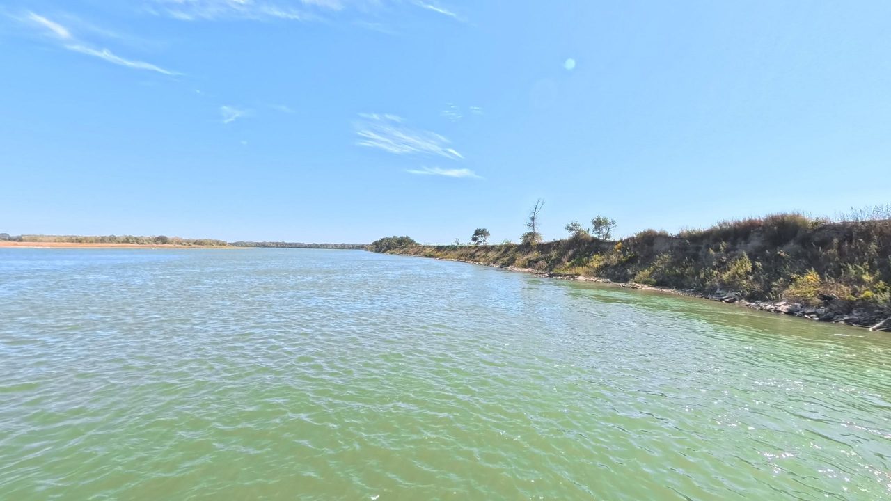 The Missouri River in green water beside a steep, eroded bank topped with trees, 2025