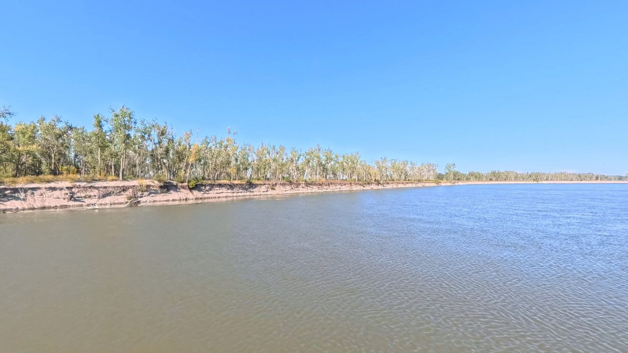 The Missouri River below a sandy cut bank lined with pale cottonwoods, under a clear sky, 2025