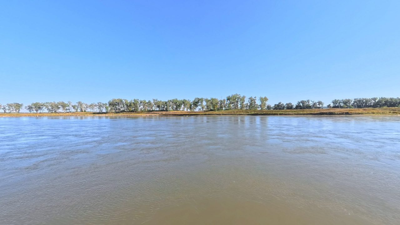 The Missouri River below a grassy bank lined with cottonwoods, under a clear blue sky, 2025