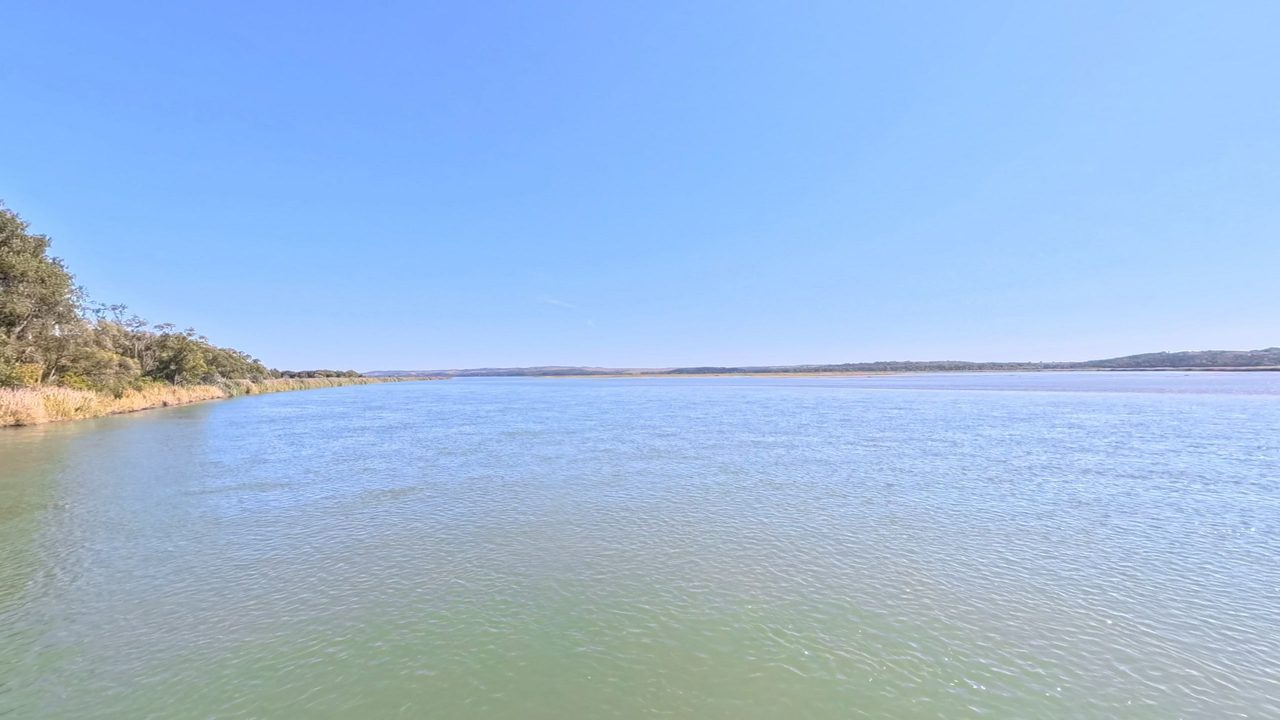 The wide Missouri River under a clear sky, with a tree-lined bank on the left and low hills far off, 2025
