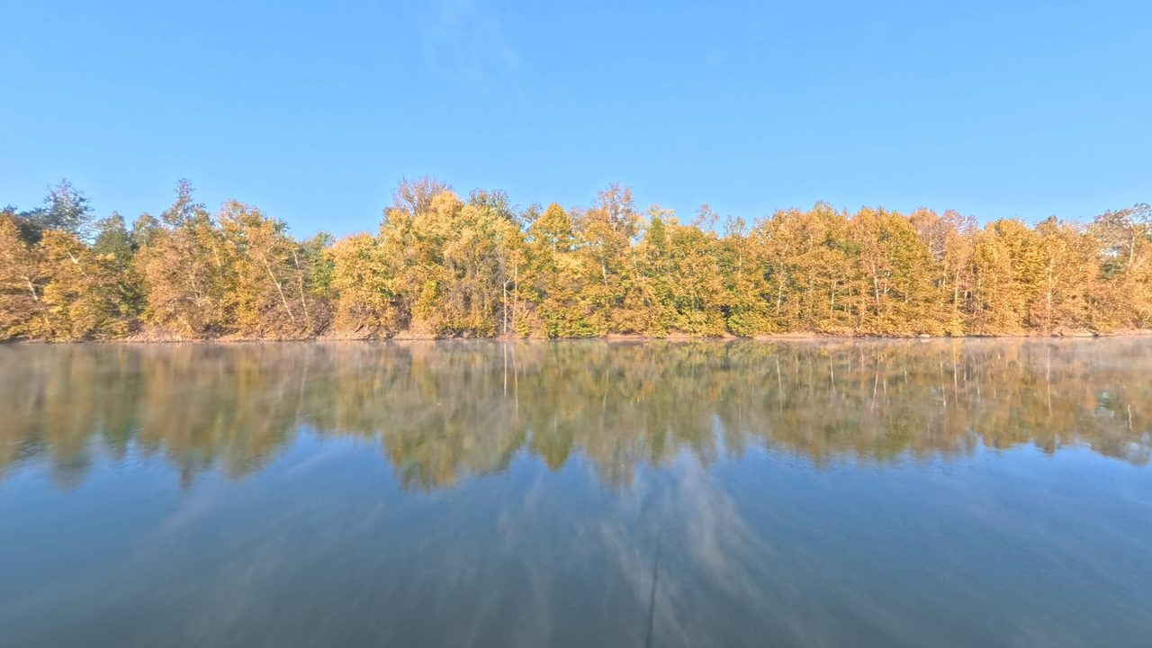 Autumn woods in gold reflected in the misty, still Ohio River, 2025