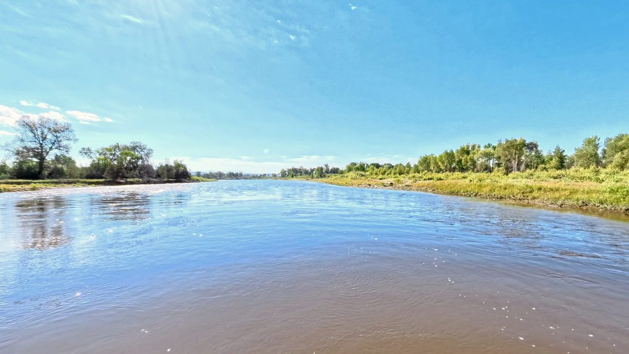 A calm river between grassy banks and cottonwoods under a bright blue sky, 2026
