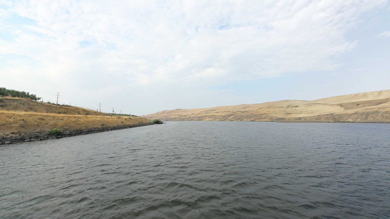 The Snake River between dry golden hills, with a low grassy point on the left, 2021