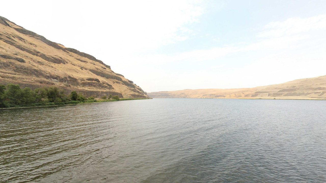 The Snake River between steep, golden grassy hills under a pale sky, 2021