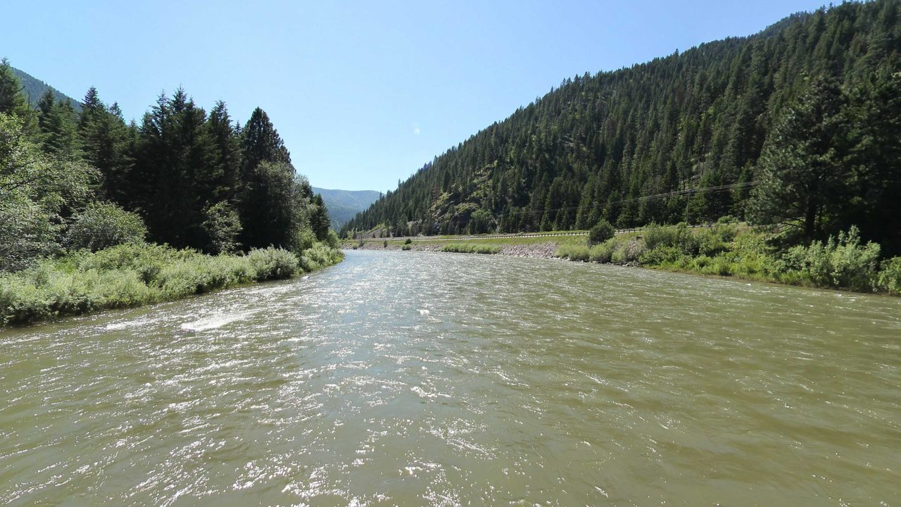 The Blackfoot River running fast between willows and a steep, forested mountainside, 2022