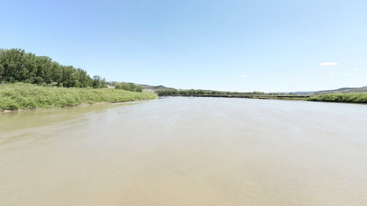 The muddy Missouri River beside a green, brushy bank with cottonwoods on the left, 2022