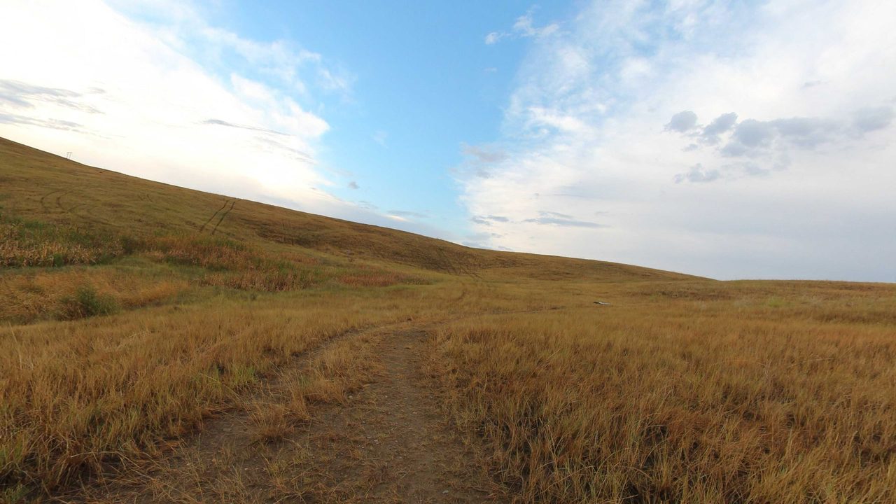 A faint two-track across golden prairie below a broad, grassy hillside under scattered clouds, 2022