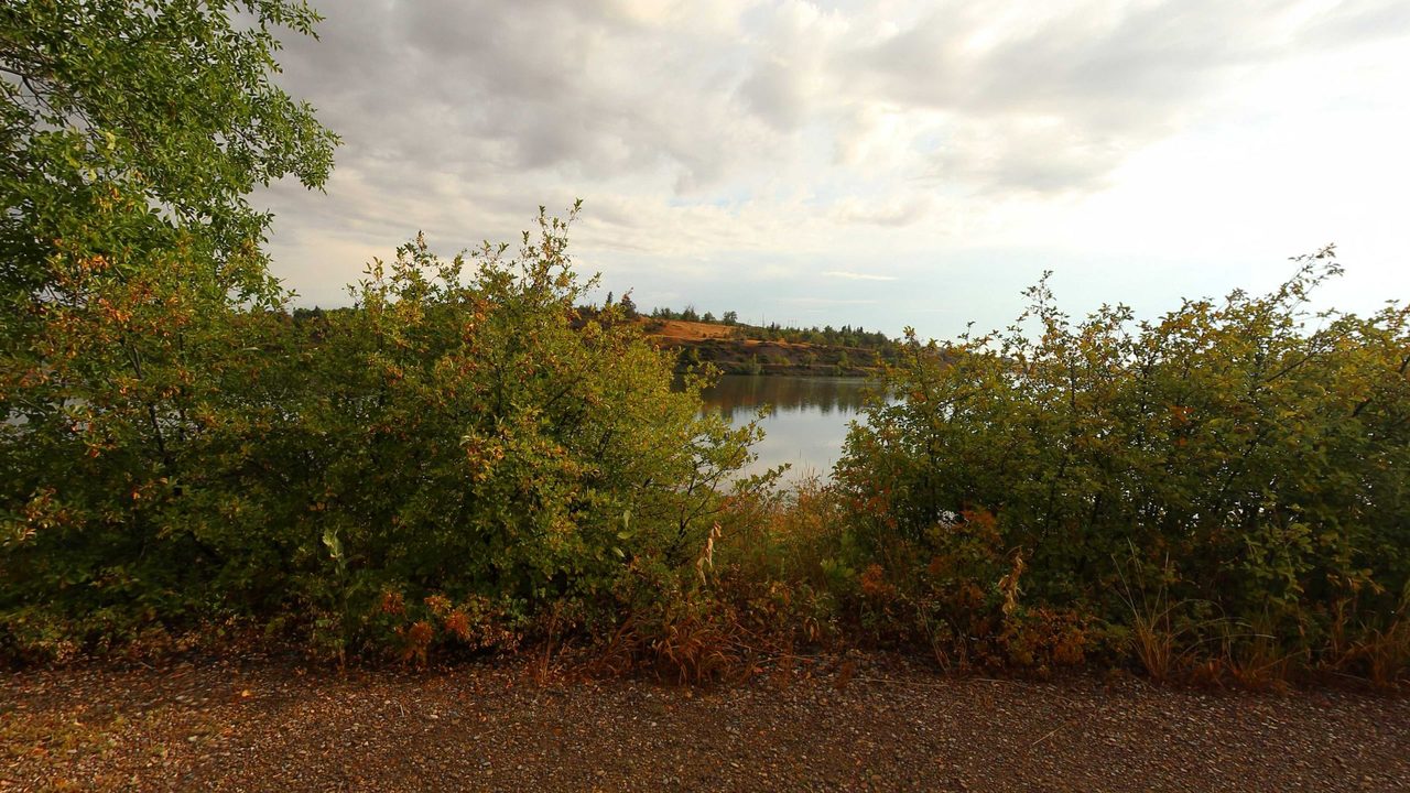 Shrubs framing a glimpse of the Missouri River below a golden hillside, 2022