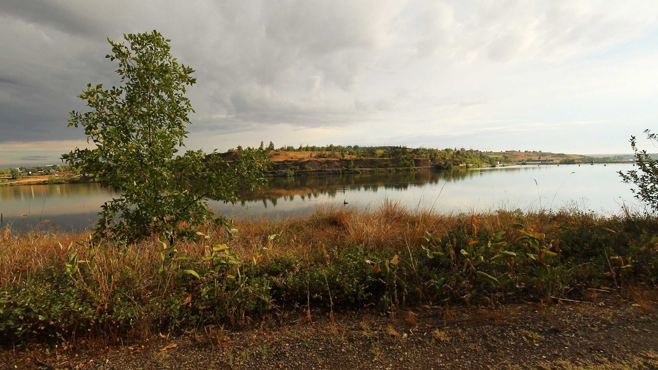 The Missouri River under a stormy sky, with a young tree and golden grasses on the near bank, 2022