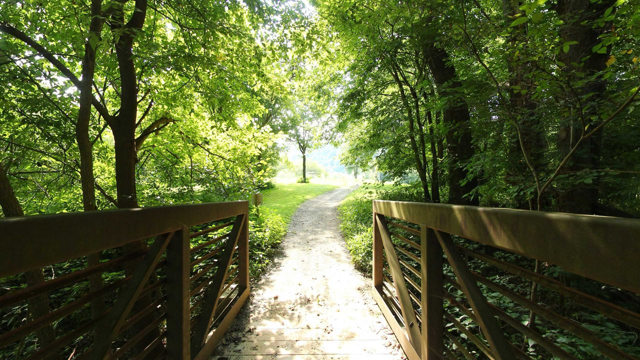 A wooden footbridge leading onto a gravel path through leafy woods toward a sunlit clearing, 2022