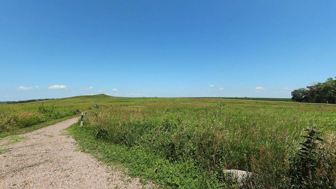 A gravel path through tall prairie grass toward a low grassy hill under a blue sky, 2023
