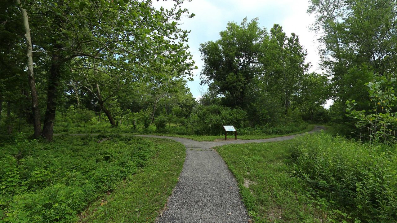 A gravel path forking through leafy woods, with a small signboard at the fork, 2023
