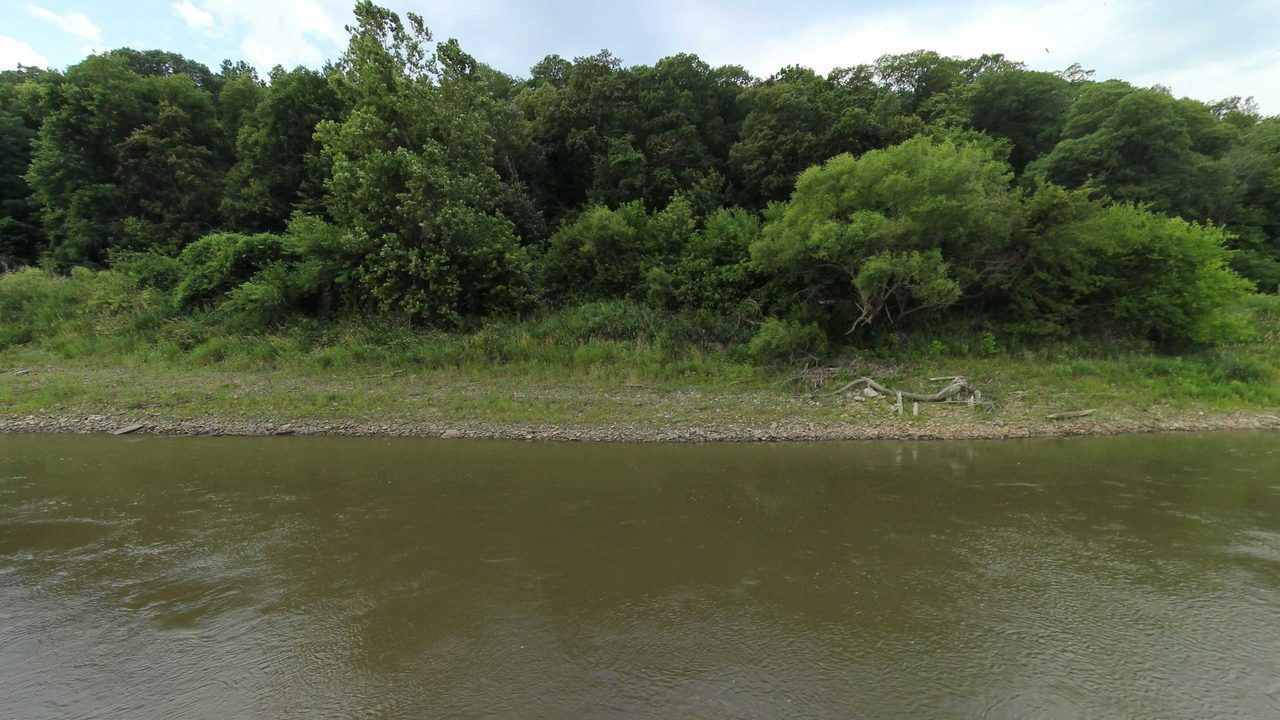 A densely wooded bank of the Missouri River above a muddy shore with driftwood, 2023
