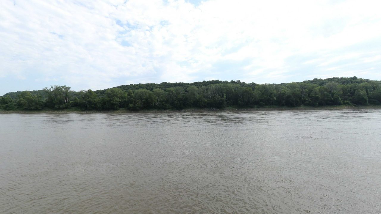 The Missouri River below a thickly wooded bank and a forested bluff, under a pale sky, 2023
