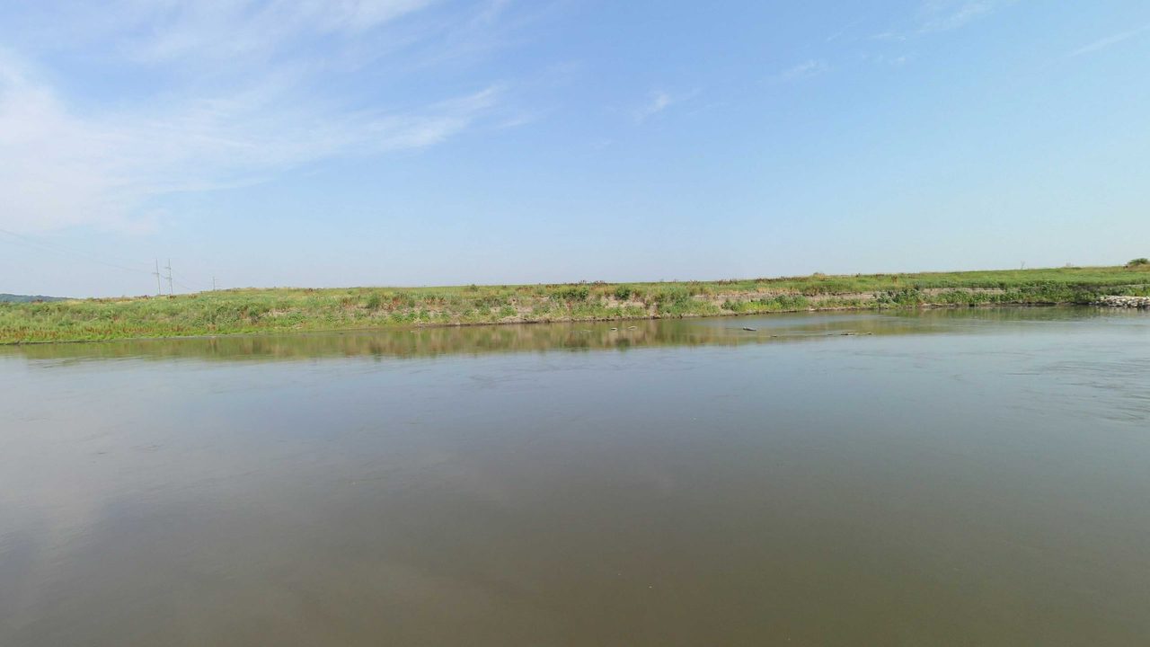 The calm Missouri River below a long, grassy levee bank, with driftwood near the shore and power lines beyond, 2023