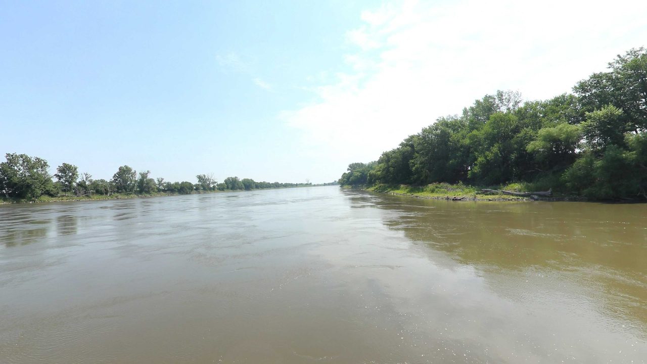 The Missouri River beside a wooded bank on the right, with a low tree line across the water, 2023
