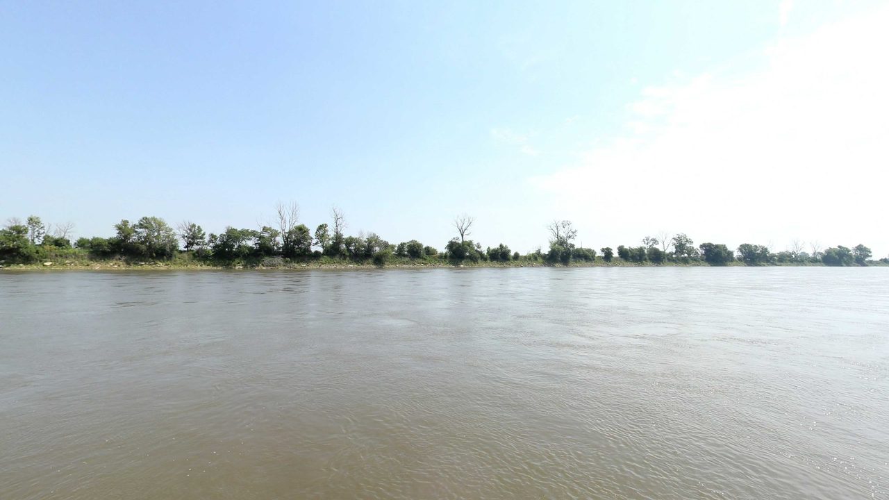 The Missouri River beside a long bank of leafy trees and bare snags under a pale sky, 2023
