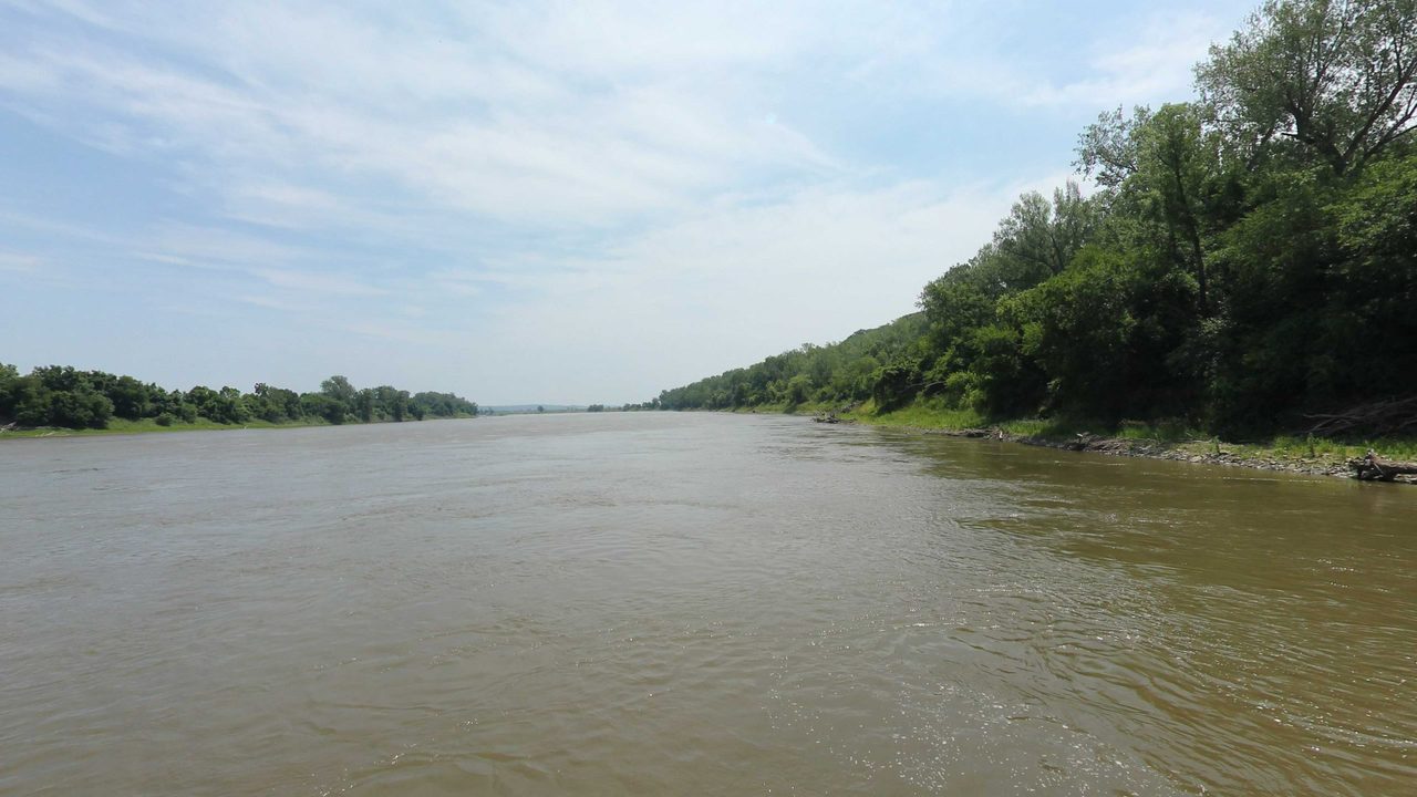 The Missouri River below tall, leafy trees on the right bank, 2023