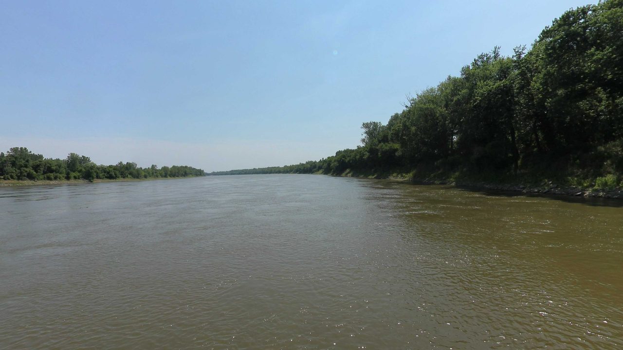The Missouri River below a dense wooded bank on the right, 2023