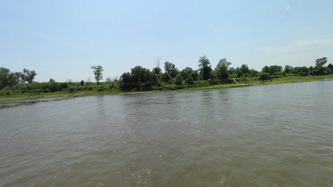The Missouri River flowing past a low, wooded bank under a clear sky, 2023
