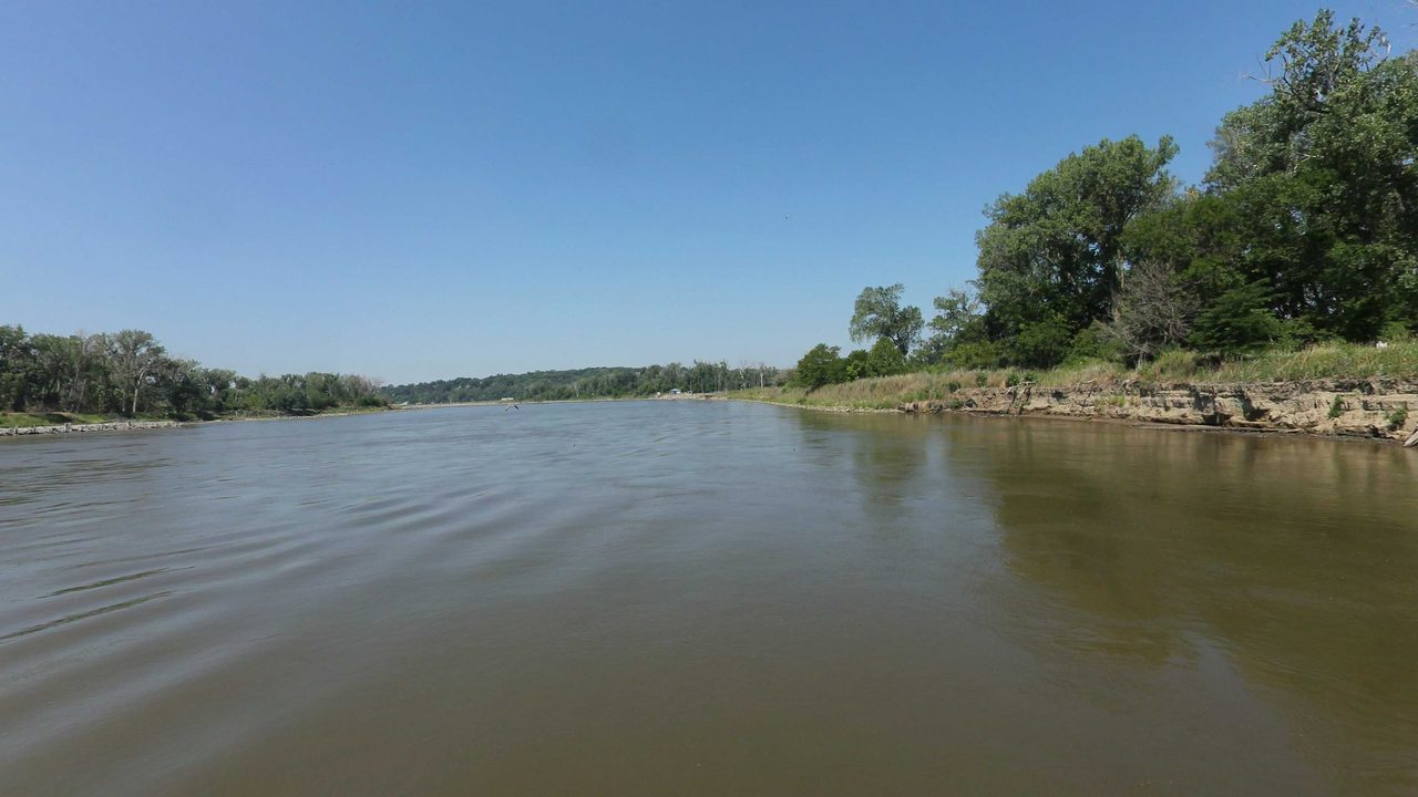 The Missouri River beside a grassy bank with leafy trees on the right, 2023