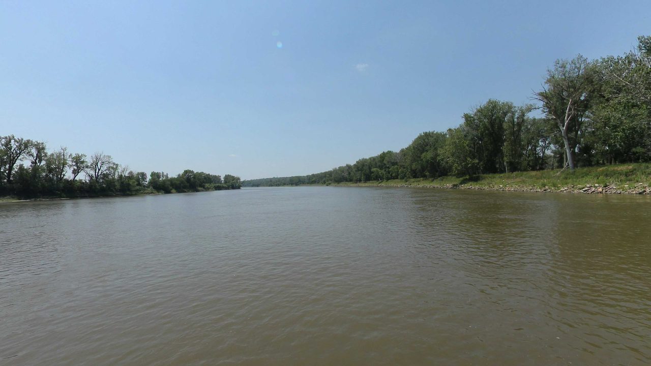 The Missouri River between wooded banks, with a bare tree on the right, 2023