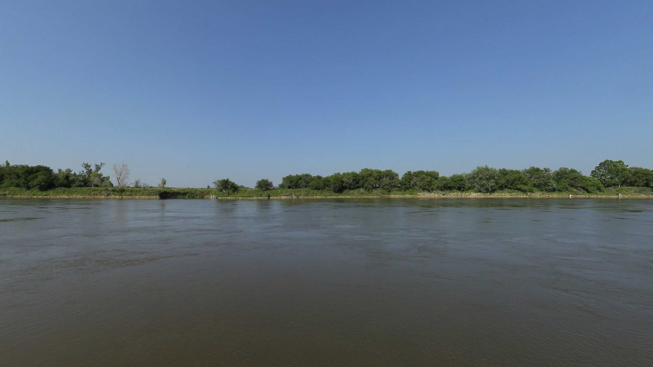 The Missouri River beside a long, grassy bank with shrubs, bare snags and old white pilings, 2023