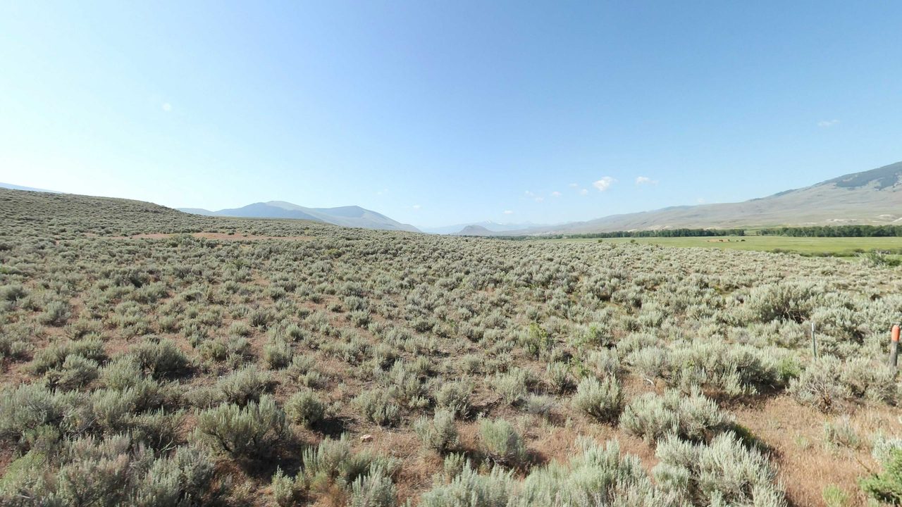 A broad sagebrush flat under a clear sky, with green meadows and distant mountains, 2023