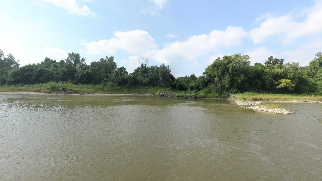 The Missouri River below a wooded bank, with a sandy shore, driftwood and a rocky point on the right, 2023